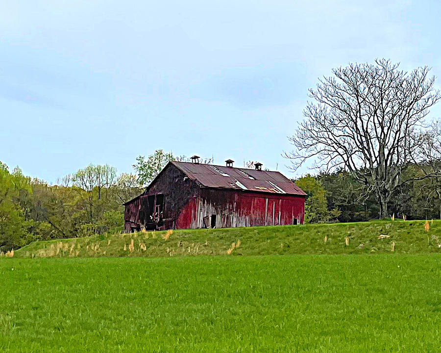 The Barn Photograph by Lee Darnell