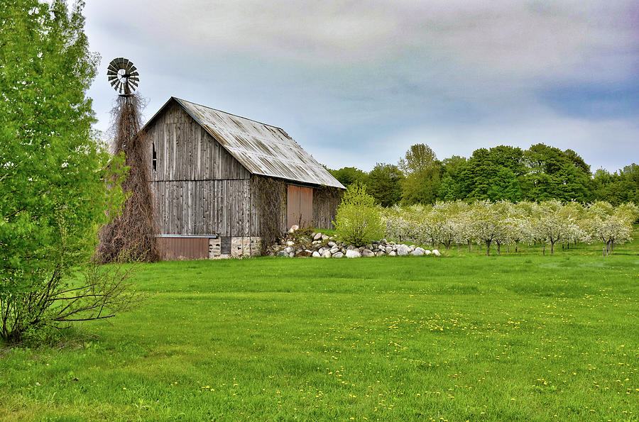 The Barn Photograph by Tom Crook The Barn Photograph by Tom Crook