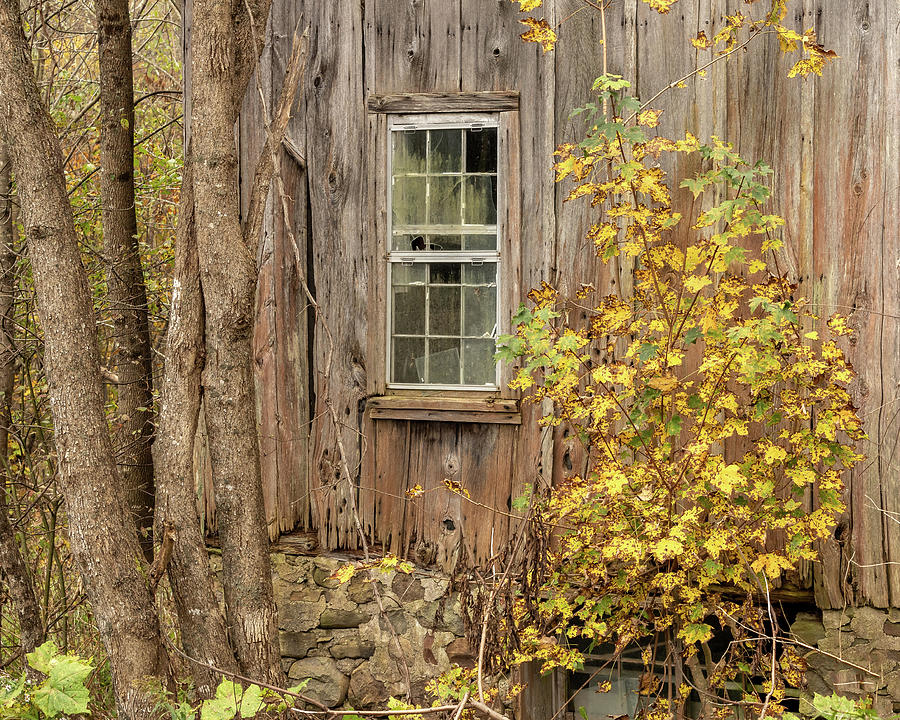 The Barn Window Photograph by Rod Best