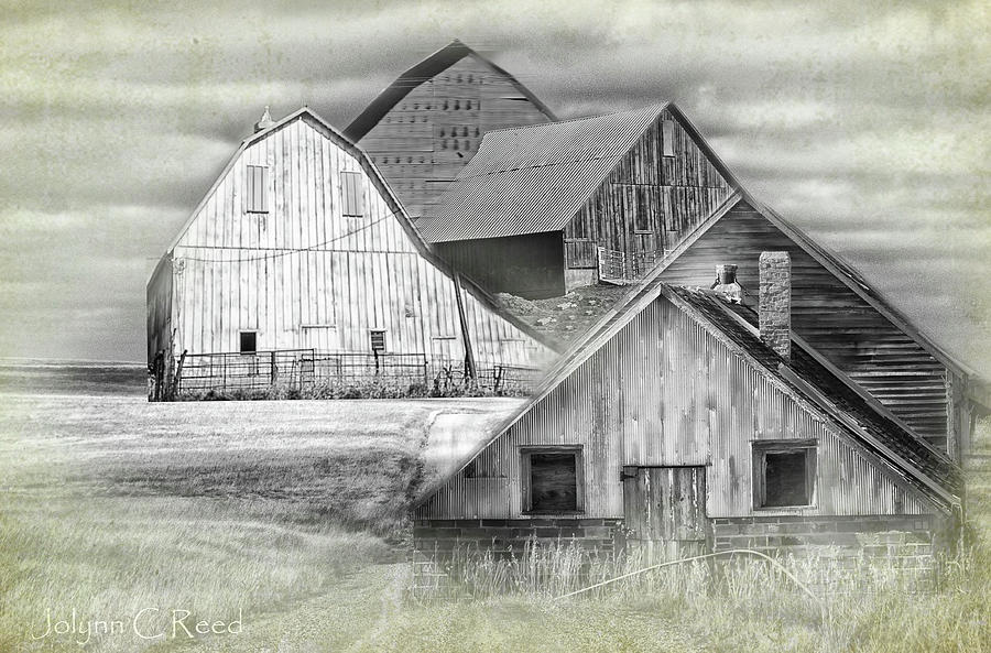The Barns Photograph by Jolynn Reed