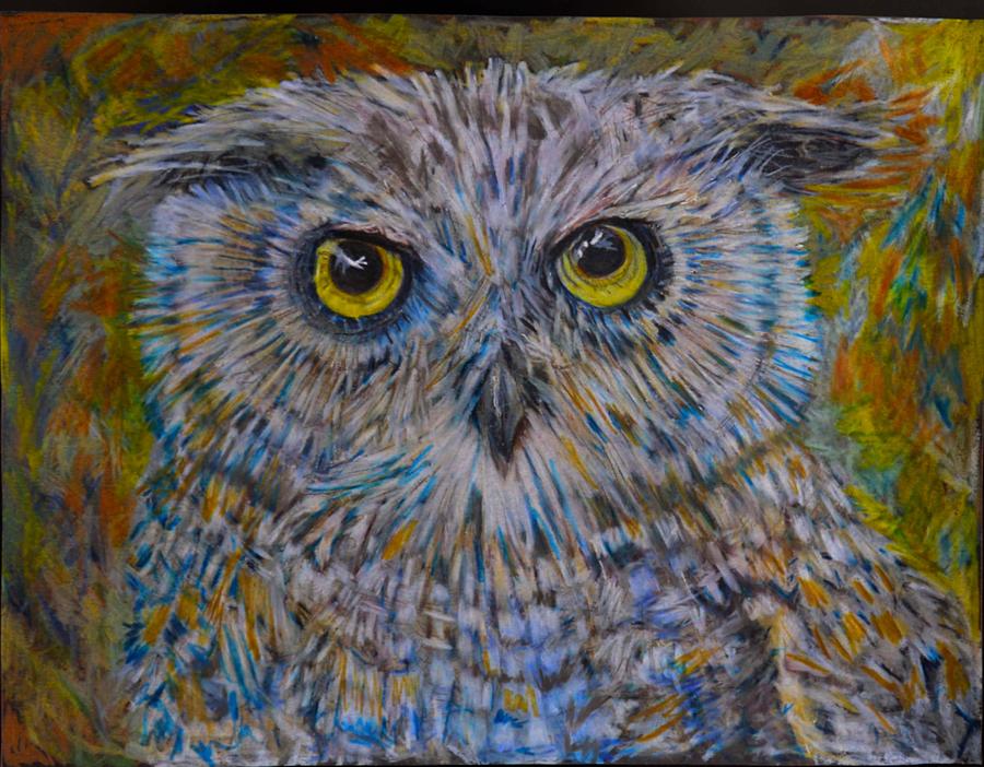 The Barred Owl Baby Drawing by Marysue Ryan