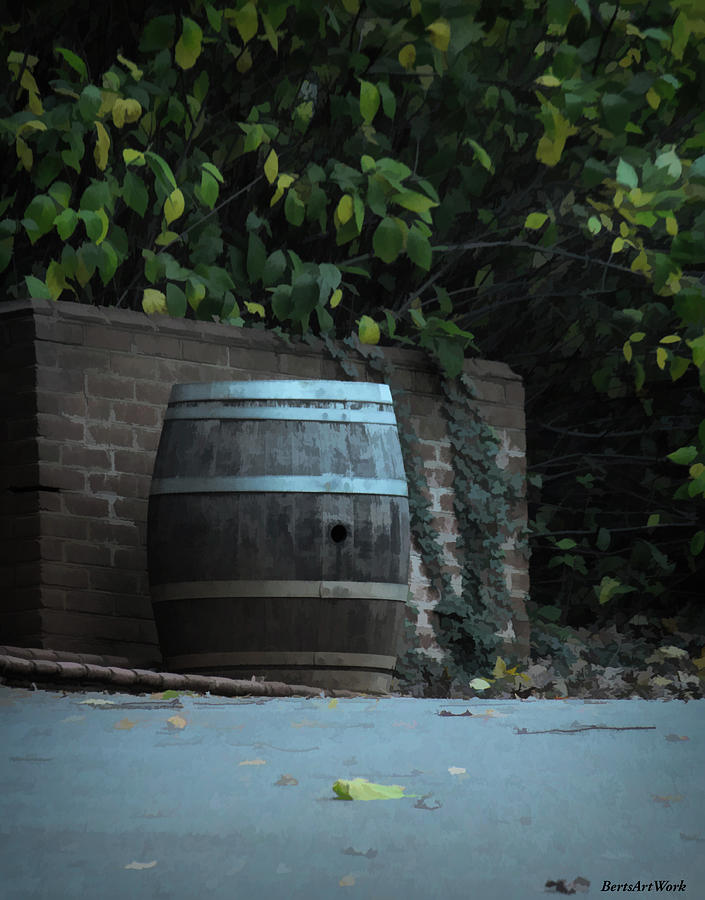 The Barrel Photograph by Roberta Byram