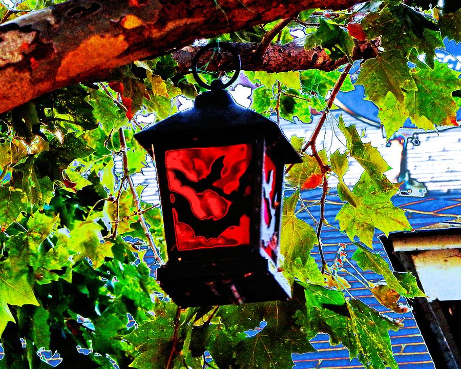 The Bat Lamp Photograph by Andrew Lawrence