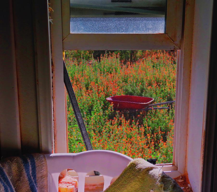 The Broken Window Photograph by Judy Kennedy