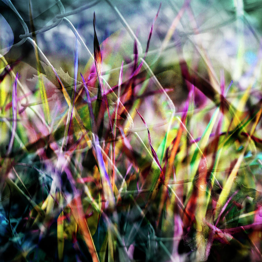 The Battle Between Grass and Fence Digital Art by Sheryl Karas
