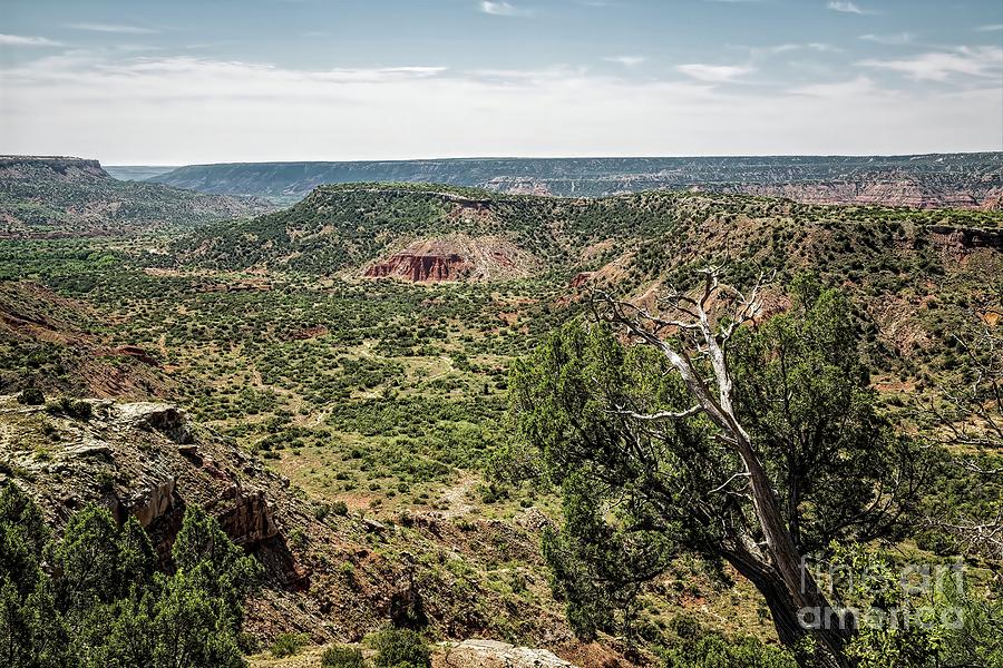 The Battle Of Palo Duro Canyon Photograph by Jon Burch Photography