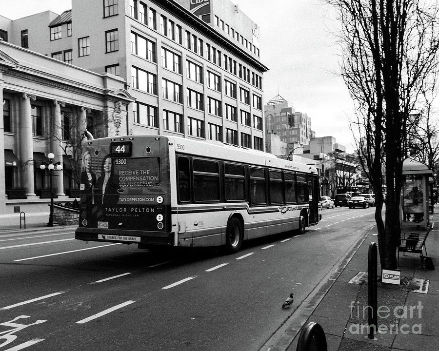 The Bctransit 44 Navigating Downtown Victoria Traffic Photograph