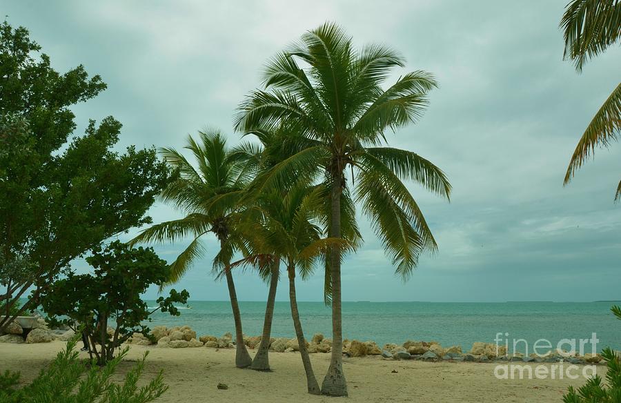 The Beach At Key West Photograph