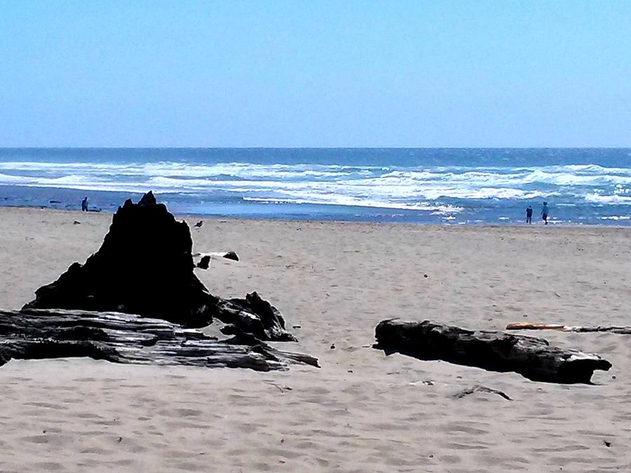 The Beach at Lincoln City Photograph by Don Varney - Fine Art America