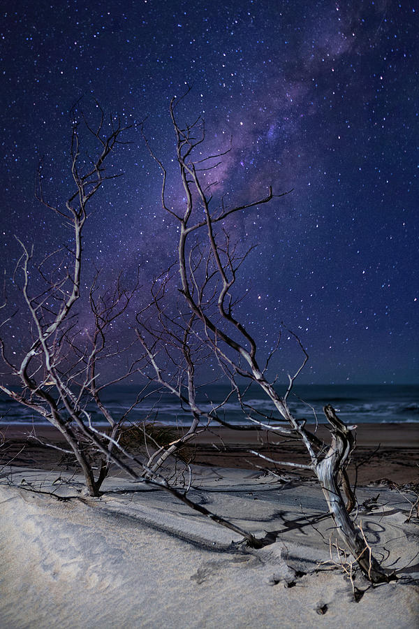 The Beach at Night fx Photograph by Dan Carmichael