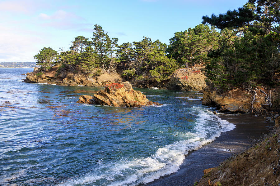 The Beach on Whalers Cove Photograph by Robert Carter
