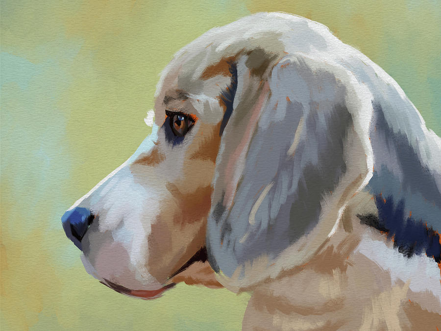 The Beagle Digital Art by Roberta Murray