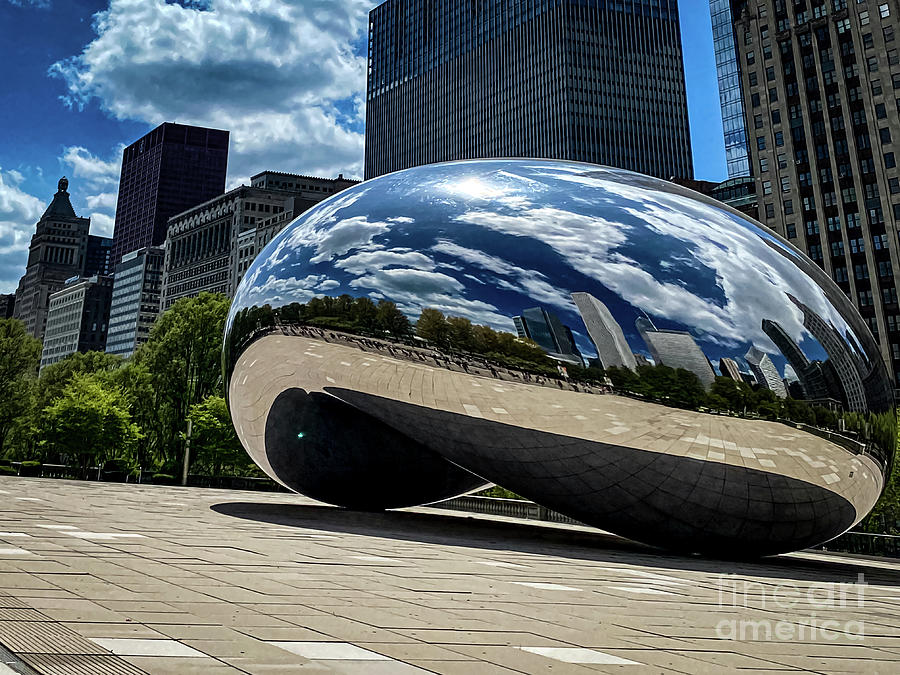 The Bean Photograph by William Norton