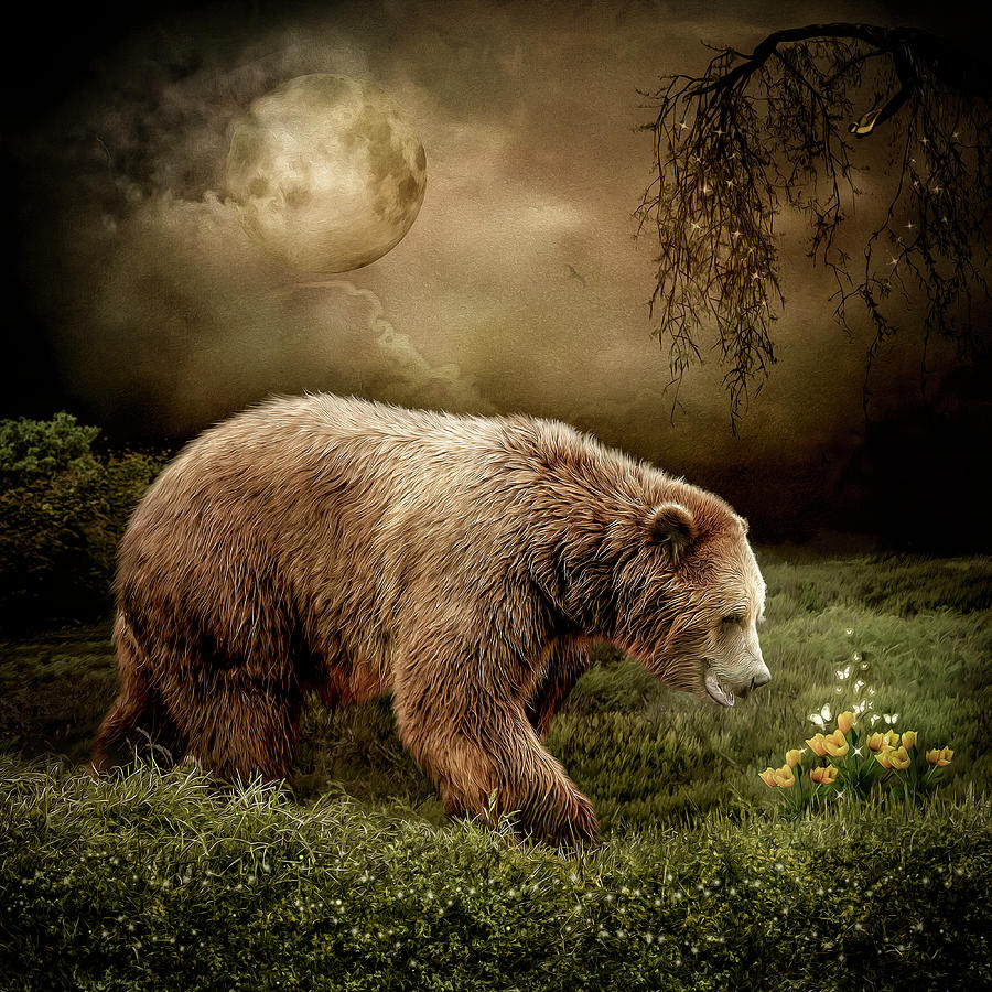 The Bear Digital Art by Maggy Pease