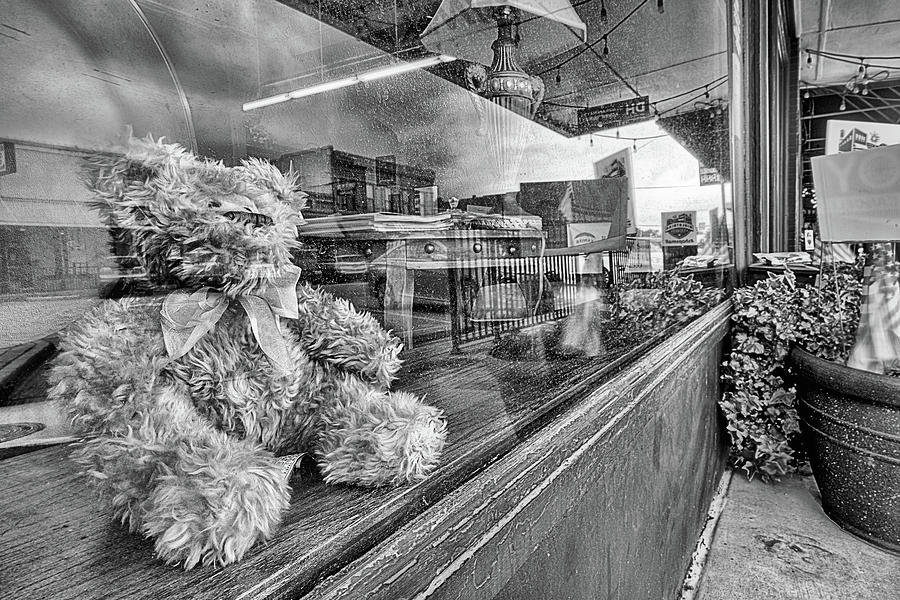 The Bears Eye View of Midlothian Black and White Photograph by JC Findley