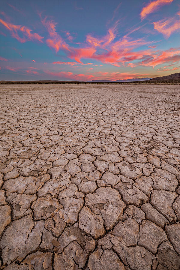 The Beautiful and the Dry Photograph by Peter Tellone