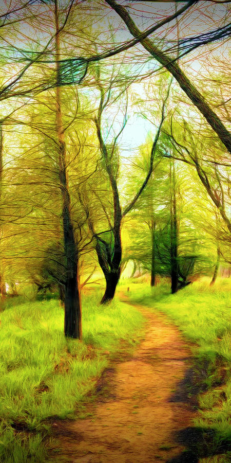 The Beautiful Forest Trail in Abstract in Middle Vertical Tripty Photograph by Debra and Dave Vanderlaan