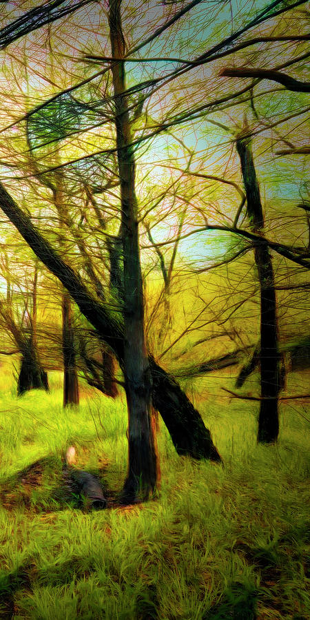 The Beautiful Forest Trail in Abstract in Right Vertical Triptyc Photograph by Debra and Dave Vanderlaan