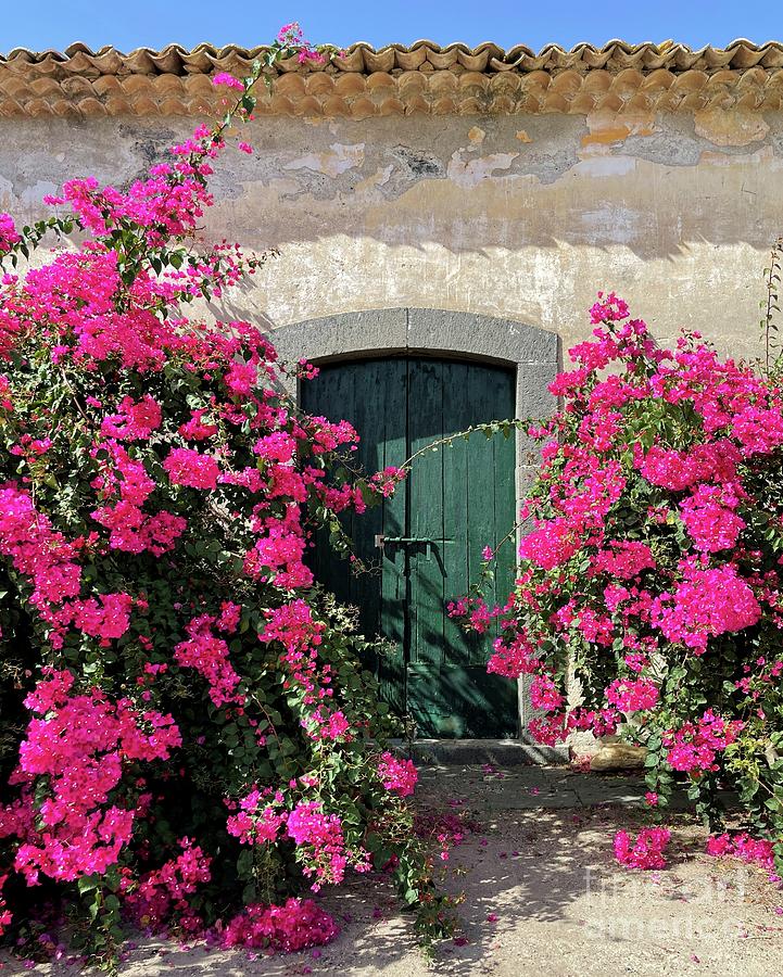The Beautiful Green Door in Sicily Photograph by Barbie Corbett-Newmin
