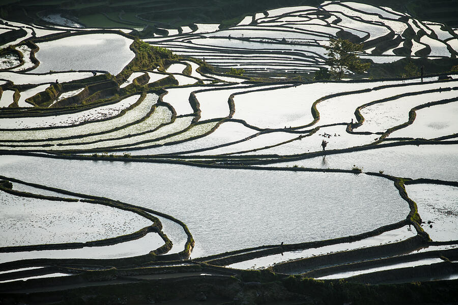 The beautiful lines of terraced fields Photograph by Zhouyousifang
