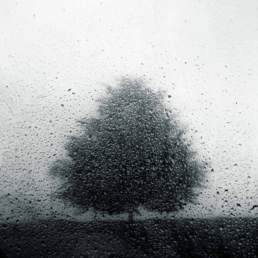 The Beautiful Sound Of Rain Photograph by Dorit Fuhg