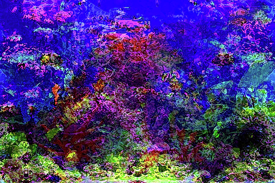 The Beauty Of A Coral Reef Mixed Media