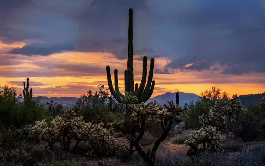 The Beauty Of A Desert Winter Photograph by Saija Lehtonen - Fine Art ...