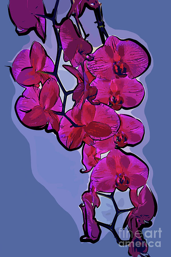The Beauty Of An Orchid Digital Art by Kirt Tisdale