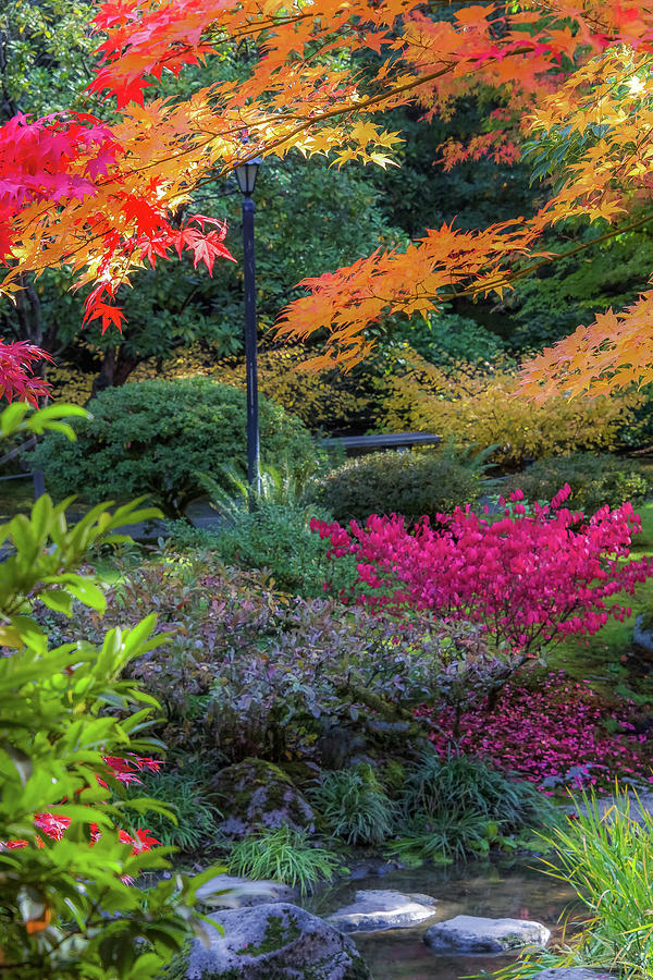 The Beauty of Autumn Photograph by Emerita Wheeling