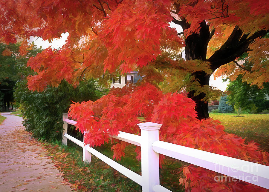The Beauty of Autumn in New England 2 Photograph by Anita Pollak