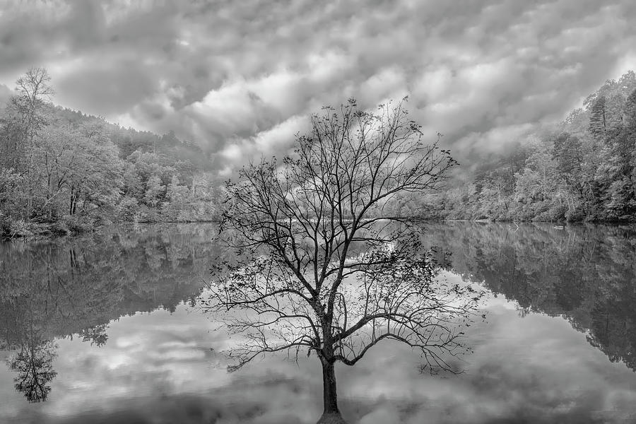 The Beauty of Autumn Reflections Black and White  Photograph by Debra and Dave Vanderlaan