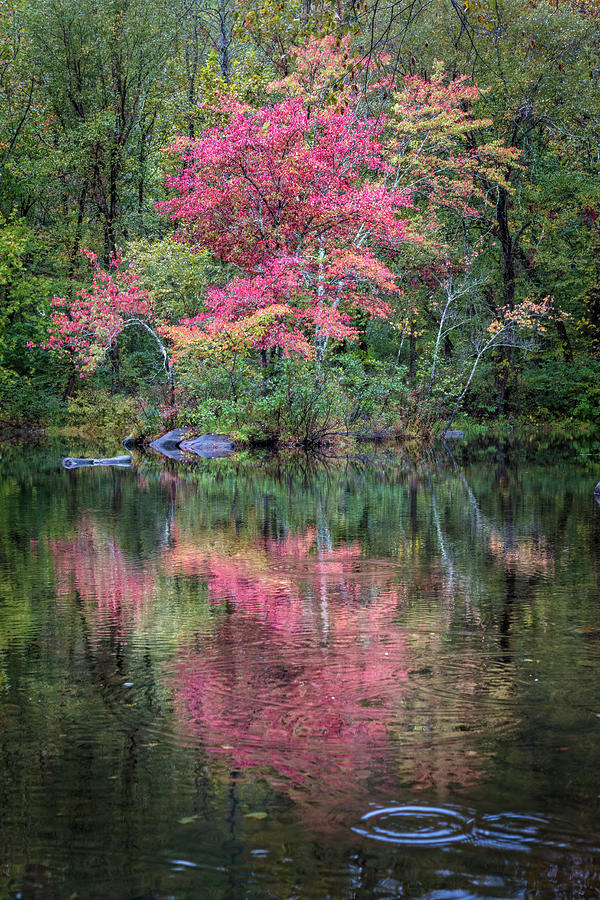 Fall Photograph - The Beauty of Autumn Reflections by Debra and Dave Vanderlaan