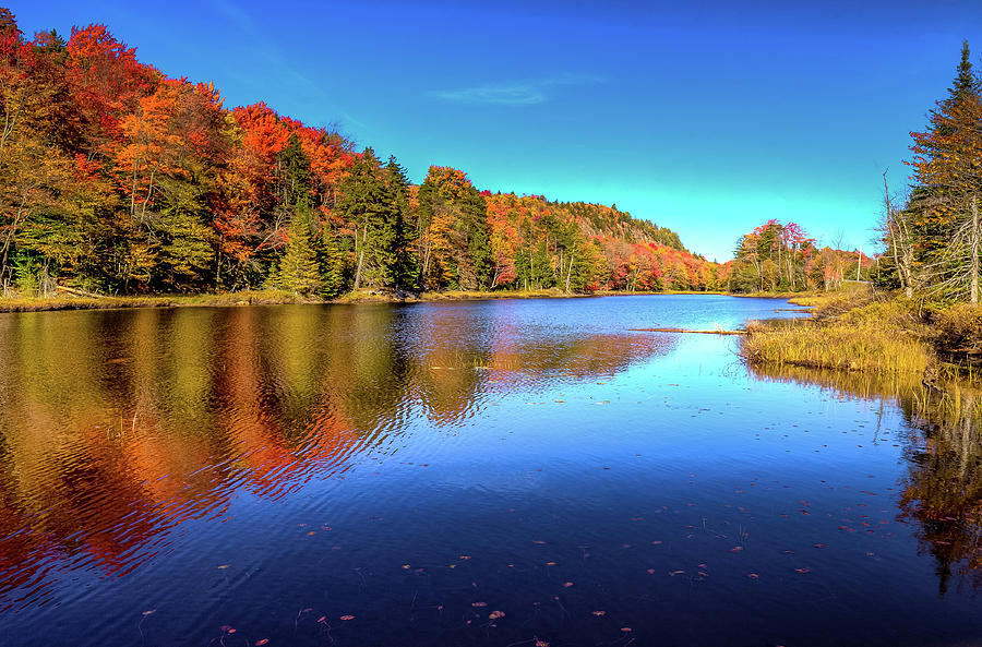 The Beauty of Bald Mountain Pond Photograph by David Patterson