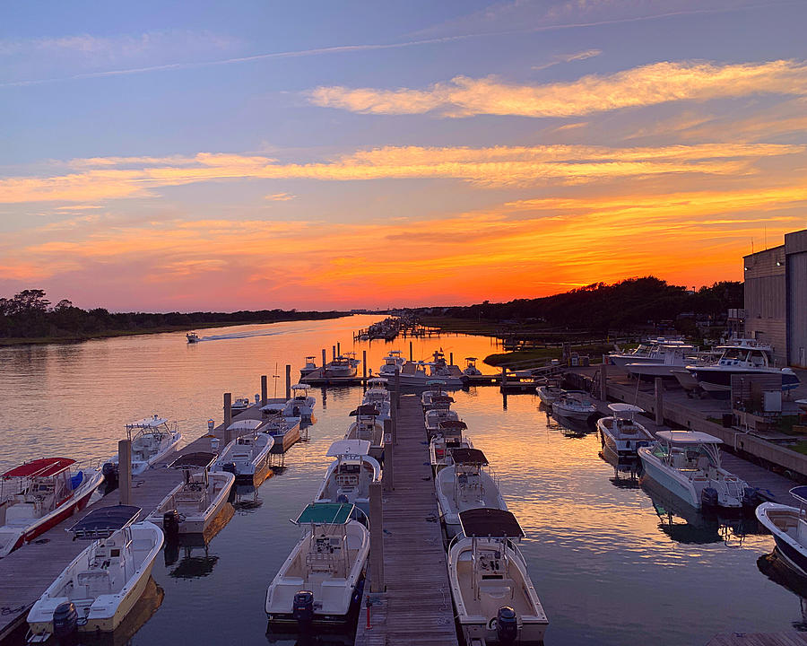 The Beauty of Beaufort Photograph by Lee Darnell