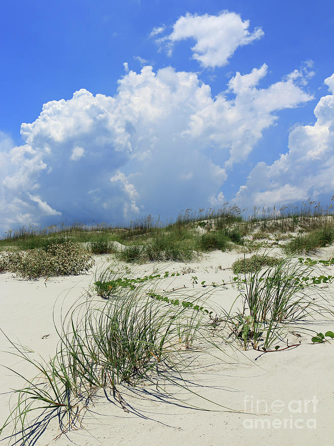 The Beauty of Sand Dunes Photograph by Mary Haber