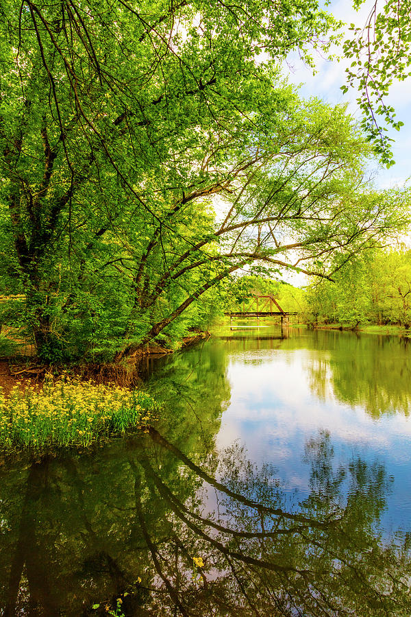 The Beauty Of Springtime On The River By Debra And Dave Vanderlaan, 32k  Ultra Hd Wallpaper 15360x8640