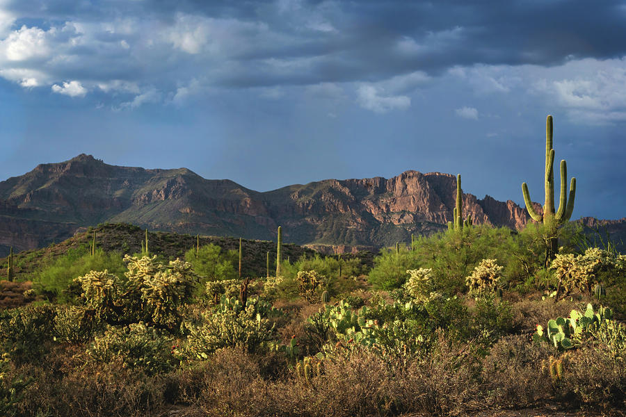 The Beauty Of The Desert Landscape Photograph by Saija Lehtonen - Fine ...