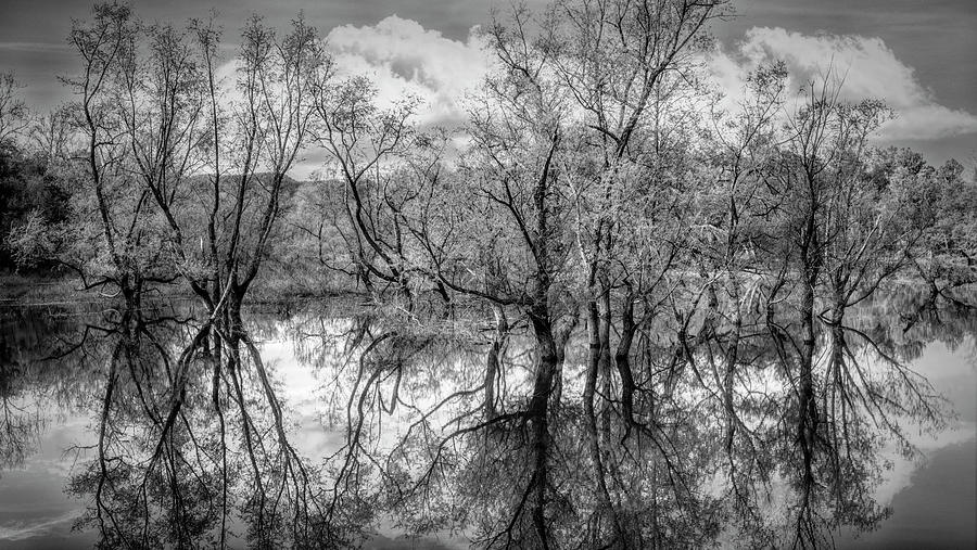 The Beauty of the Hiwassee River Black and White Photograph by Debra and Dave Vanderlaan