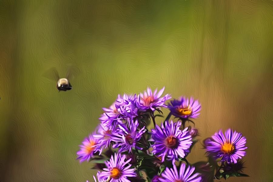 The bee and the purple flowers Digital Art by Sharon Wilkinson
