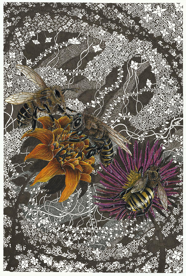The Bee Garden Drawing by Jonathan Baldock