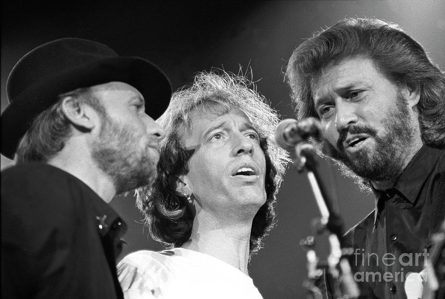 The Bee Gees Photograph by Concert Photos - Pixels