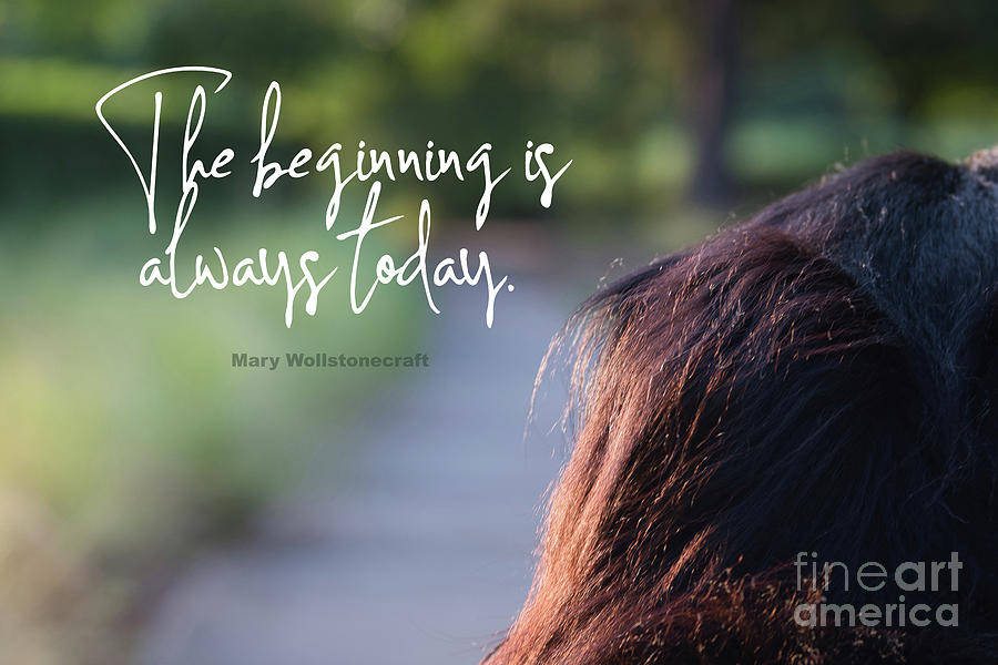 The Beginning Is Always Today Photograph by Amy Dundon