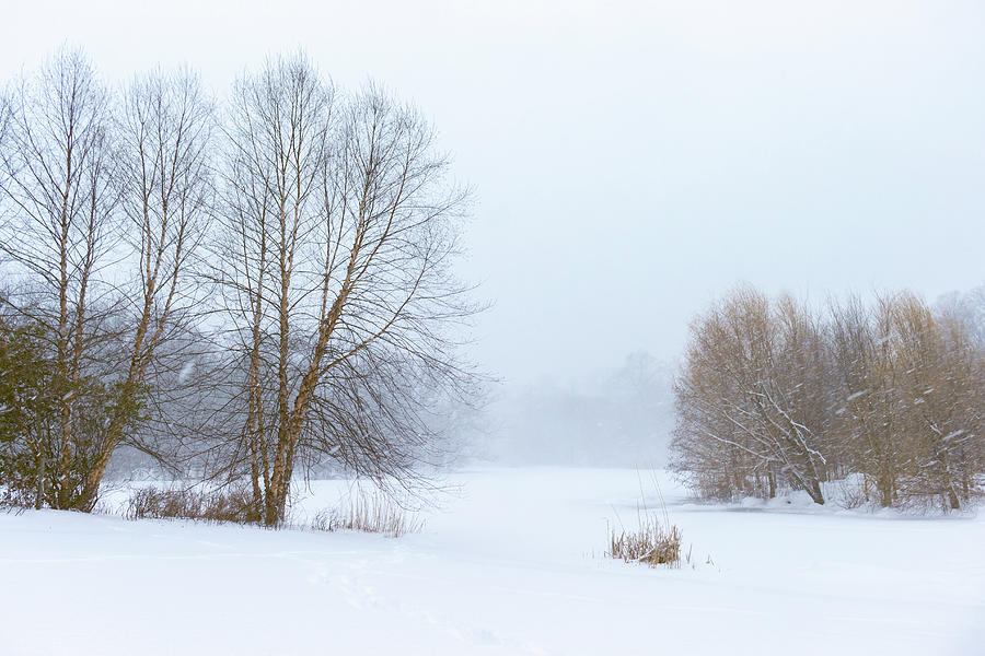 The Beginning of a Winter Adventure Photograph by Auden Johnson