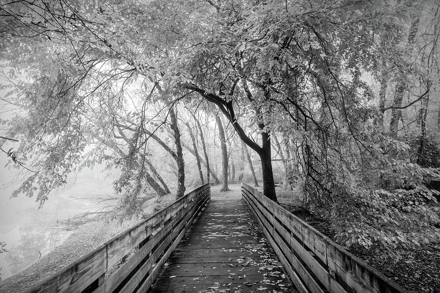 The Beginning of Autumn Black and White Photograph by Debra and Dave Vanderlaan