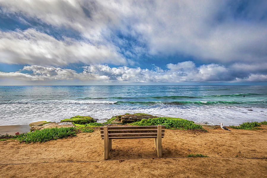 The Bench 2023 Photograph by Peter Tellone