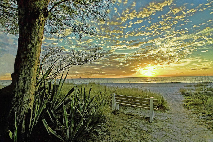 The Bench Photograph by HH Photography of Florida