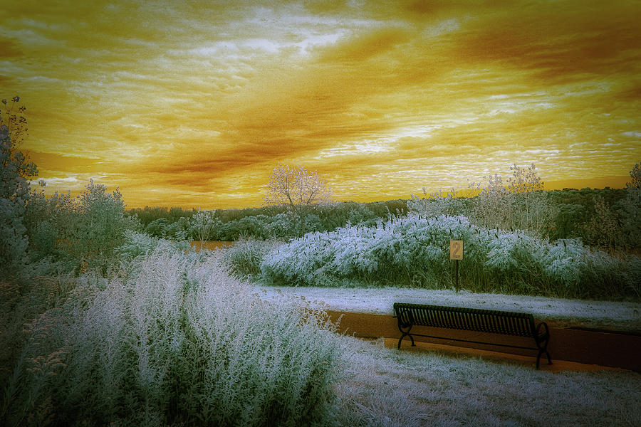 Landscape Photograph - The Bench by Penny Polakoff