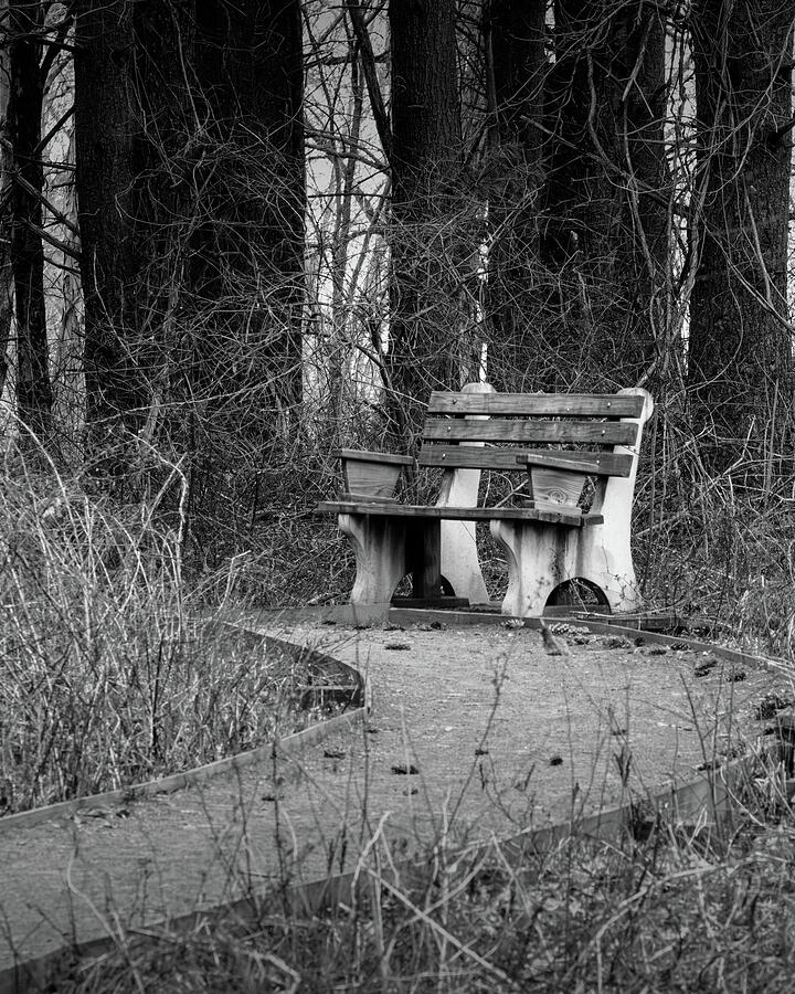 The Bench Photograph by Tim Dusenberry - Fine Art America