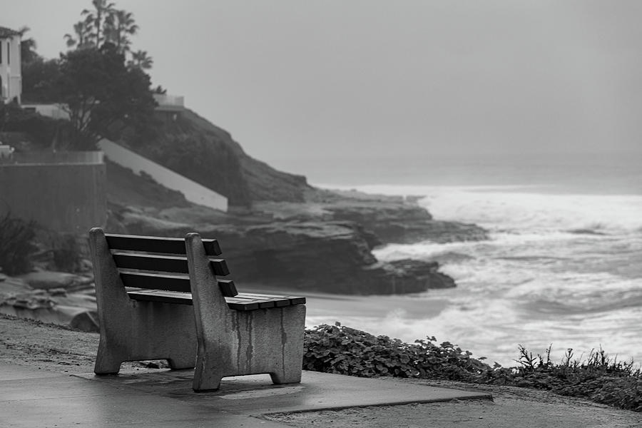 The Bench Wept Photograph by Peter Tellone