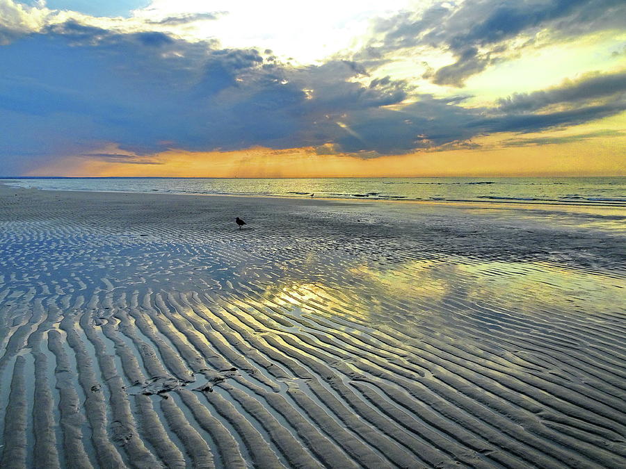 The Best Cape Cod Beach Photograph by Lyuba Filatova
